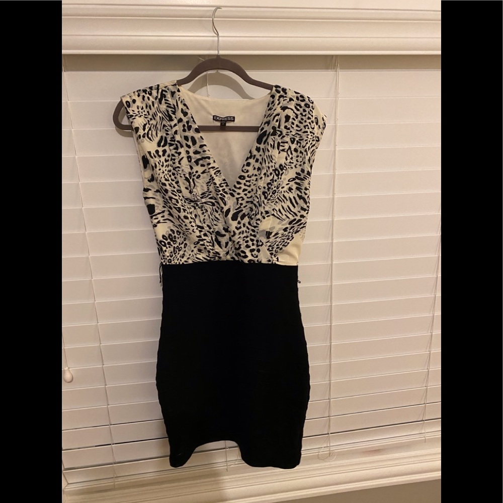 Express dress size small